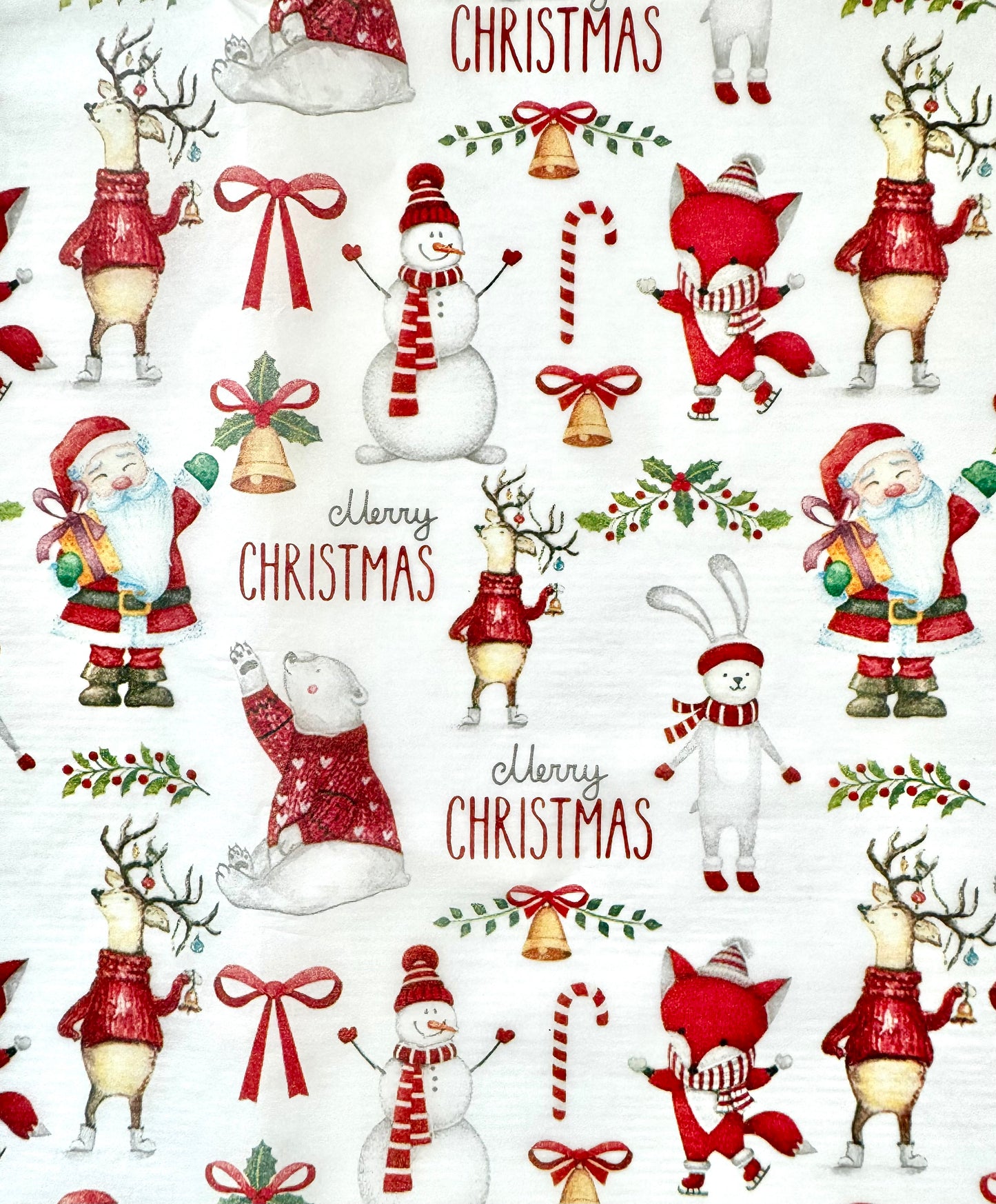 Whimsical Christmas Bathroom Toilet Tissue Gift Set